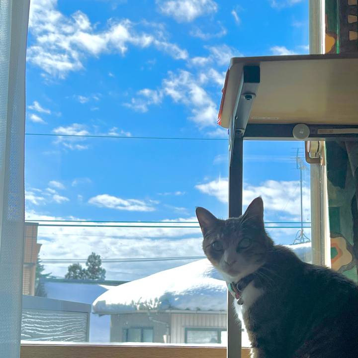 1a8f9f2f 2171 4e82 b014 791c9bfbf2ac 1770245611598