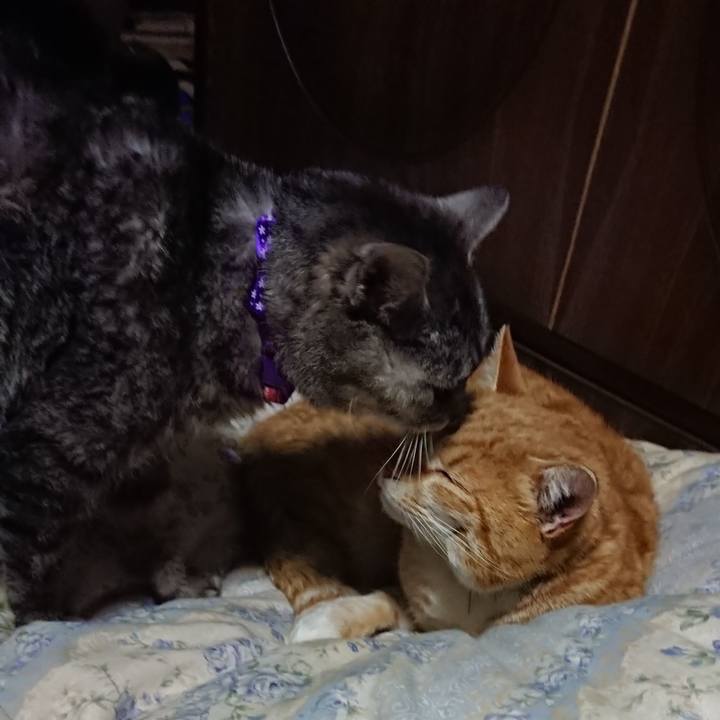 1a8fa994 d451 4c99 a0cb 35288d1ea6fc 1581942761155