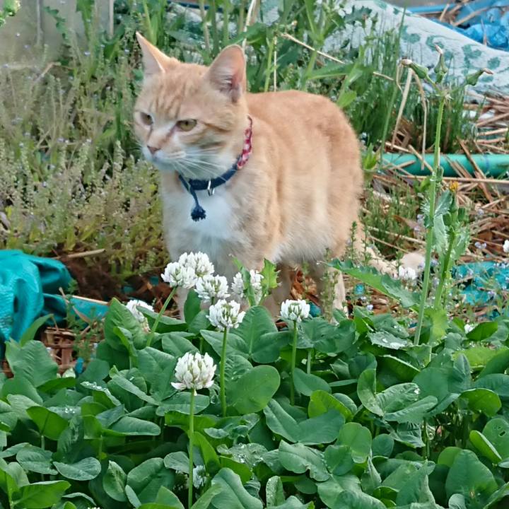 1a8fee6e 6090 4707 b05a 343204004b04 1559334661513