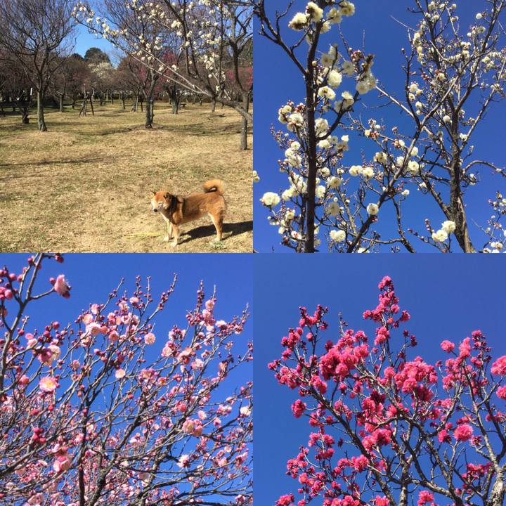 1a8ff795 6b3a 4e28 a926 0ad0f162c49c 1580453400159