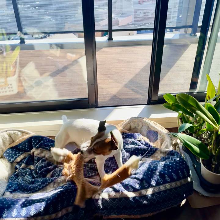 1a902e54 bf04 4087 bc68 799c6fe63517 1740097919917