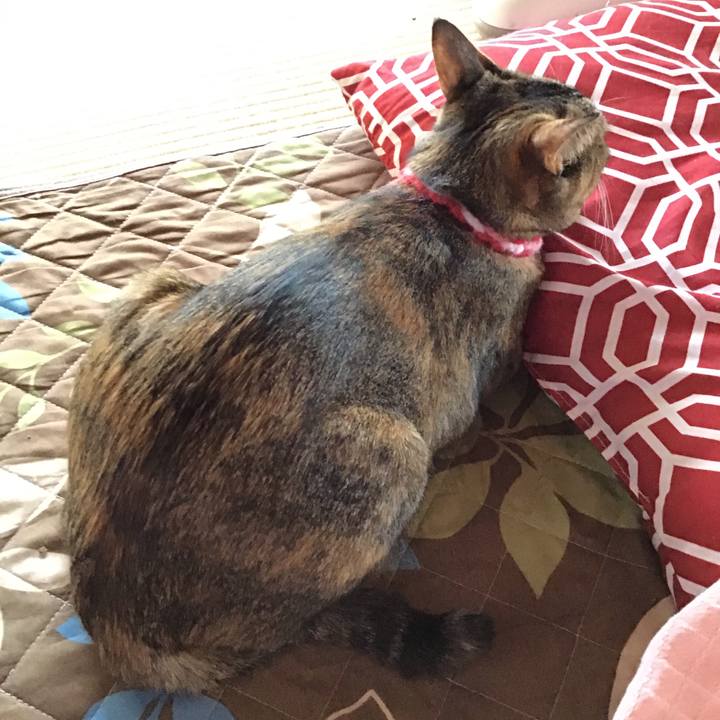 1a90303b 8264 468e 980d 89d4d630a7c9 1609566142070