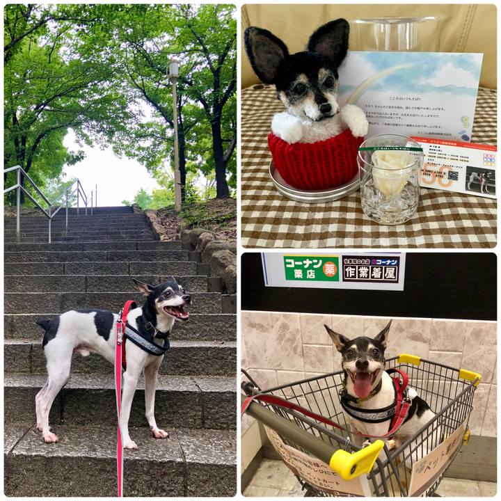 1a90335d bee2 438e 90ac a69ca5c859a9 1660602086180