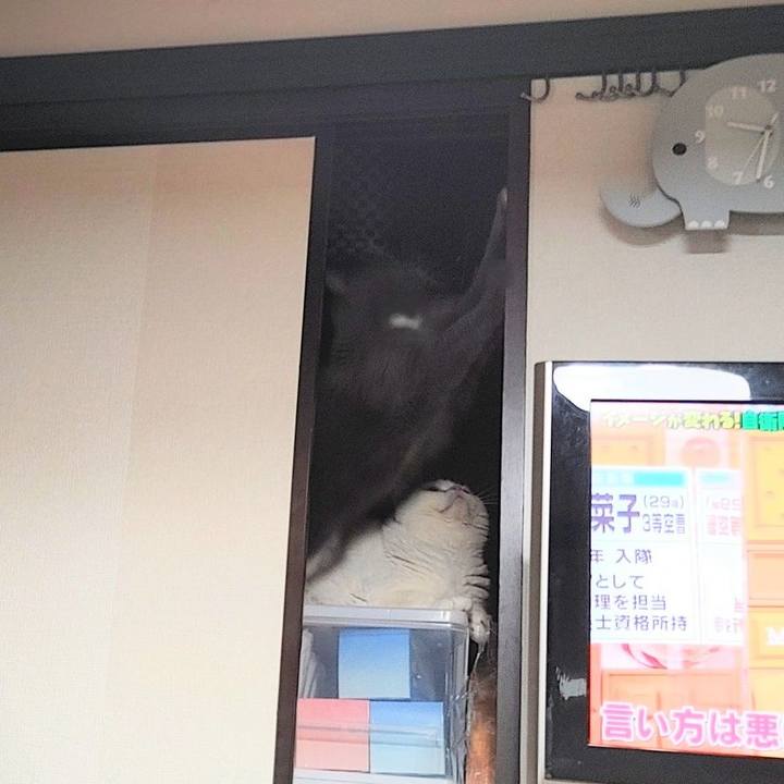 1a904a83 a399 47cd 97da e047223f340f 1661777931805