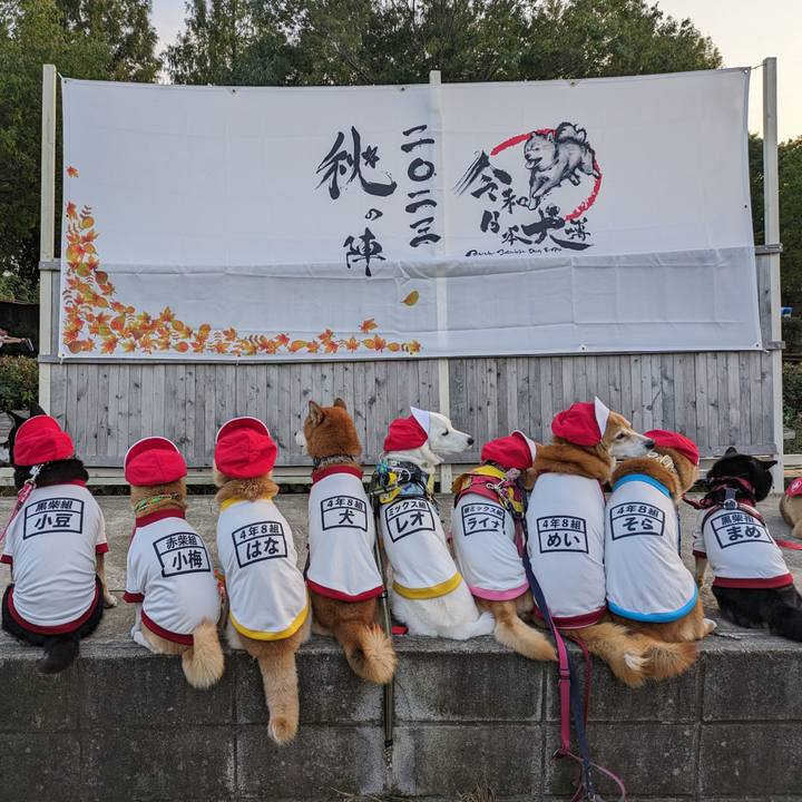 1a906591 f1cd 4003 896e 2868070e760c 1699582190951