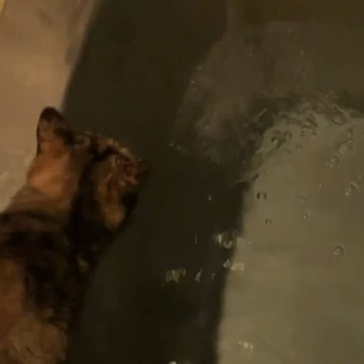 1a908962 5569 4658 9139 eed6d1c45cbd 1731265980614