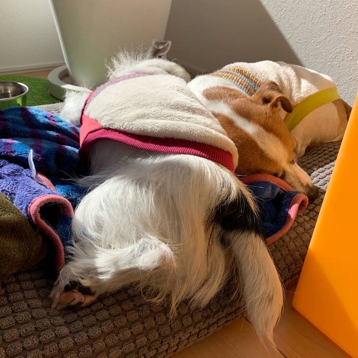 1a9090e0 c8b8 4df5 a2c5 db6be8d70b04 1548126245197