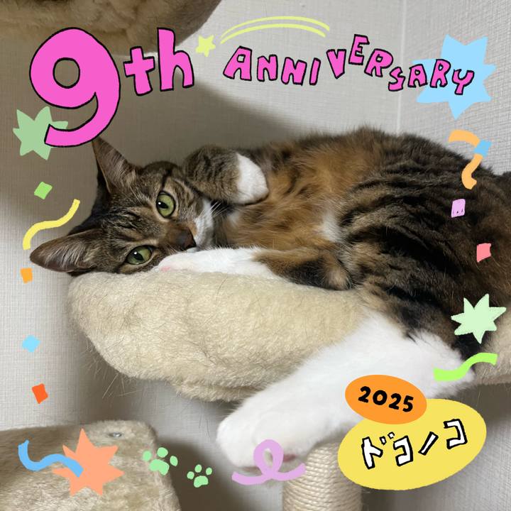 1a909efe 22d6 4400 99a7 971f1c585cb8 1749652338963