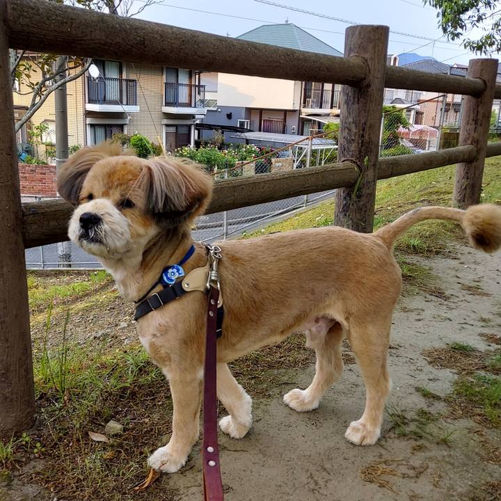 1a90d46e 2088 4376 b68d 9f6846be4ae5 1652092659548