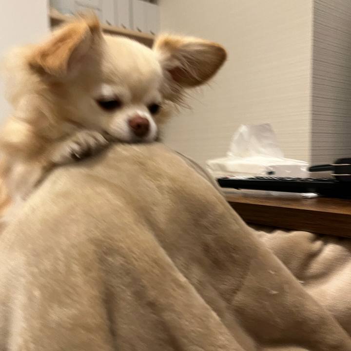 1a90e568 9f8b 4083 8915 2a0092fa35c7 1773386968313