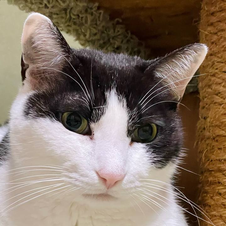 1a90f058 7179 4e5c b87d 57bfa65745ee 1650338364769