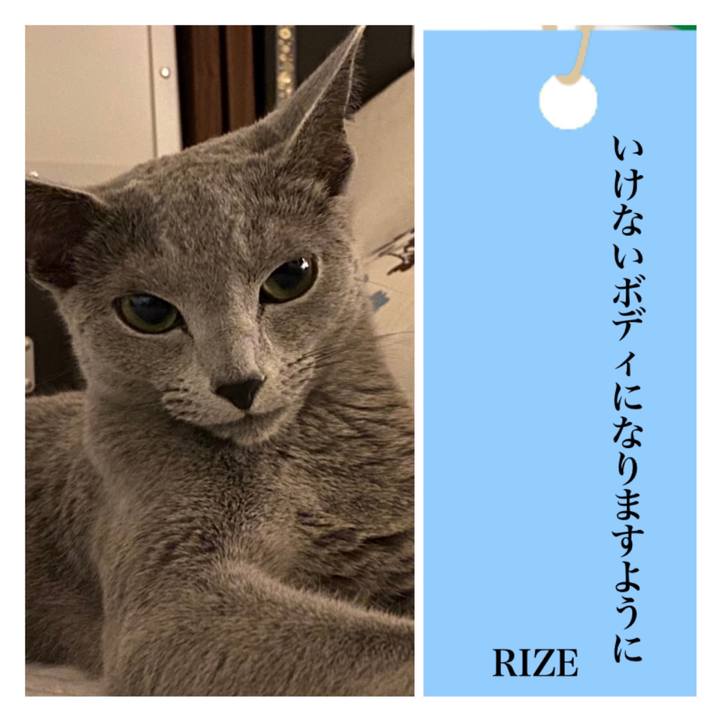 1a9103cb 8226 4f7f bf4a 41aa40c2dbec 1625647409221