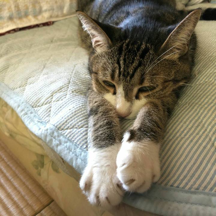 1a911055 bdea 488a 8c1e d9d4975d0b7b 1598772865437