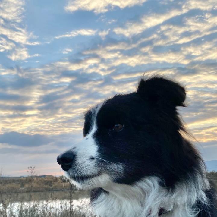 1a911221 6d59 45ac 977a 49d9580ea24d 1608419488091