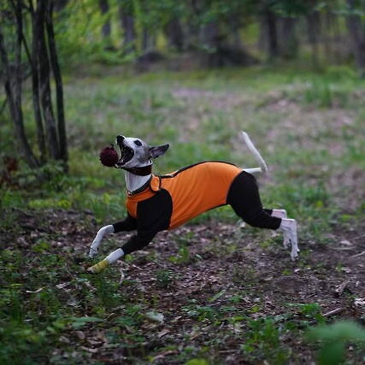 1a912a1e 4414 4ea7 88b3 910f6ca299f6 1528284289882