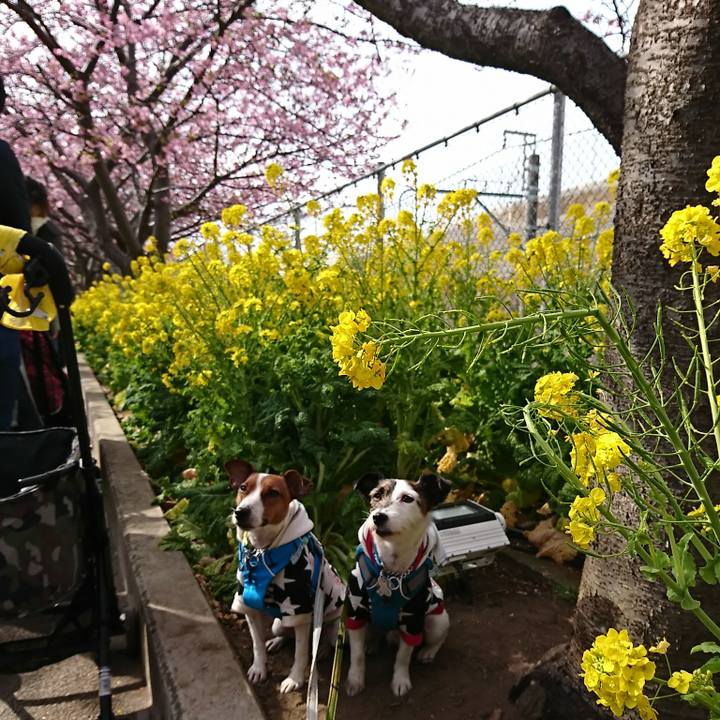 1a91ab7d 93c0 424e b65a 3062b56ed65b 1614946727820