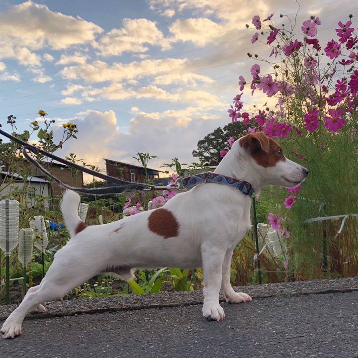 1a91c817 cba7 4118 ad38 000a5ce0f65f 1538960984031