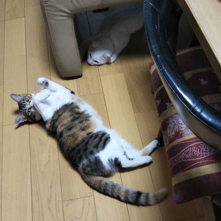 1a91ef3c a94d 4944 af9b 68655ac2b6a4 1648768411778