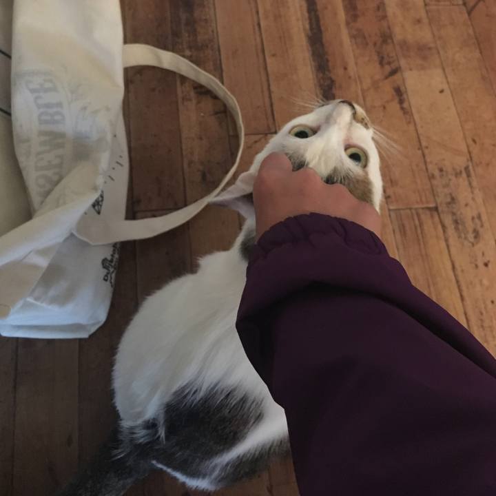 1a920337 50bb 4068 be22 41fa85b6da87 1509166710104