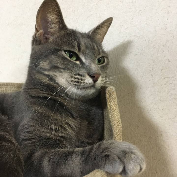 1a9203ef 6f78 492a ac9f 3e500bea92f5 1597836236537