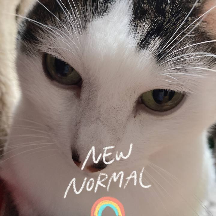 1a923af8 33b3 44b0 b737 aa7a606e0bcf 1604674924474