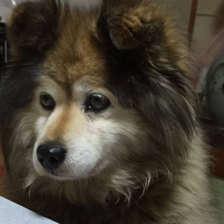 1a925fea 7623 4283 b638 7c063695b8df 1592790097207