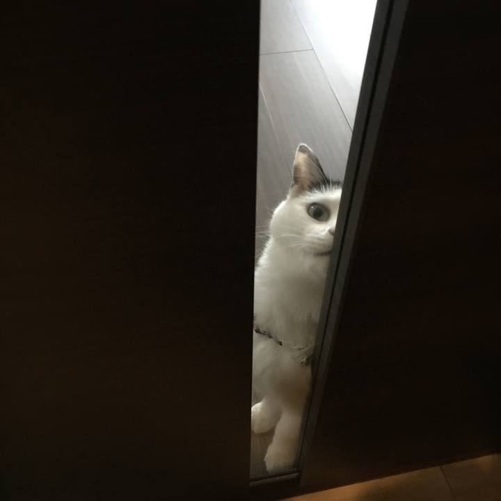 1a927109 6f31 4b87 b587 5d7ed87e50dd 1510011951320