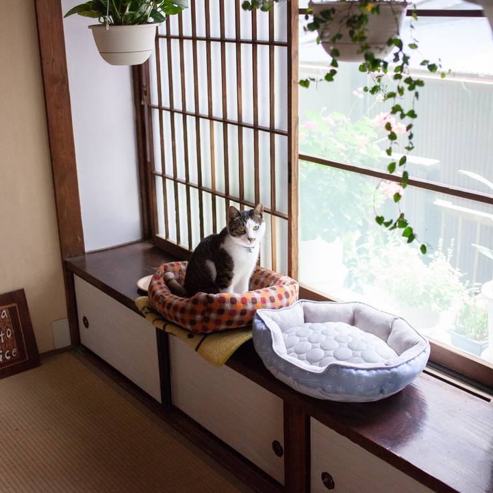 1a92b312 1d07 4398 afb4 c2fa0c9c1021 1558485896487