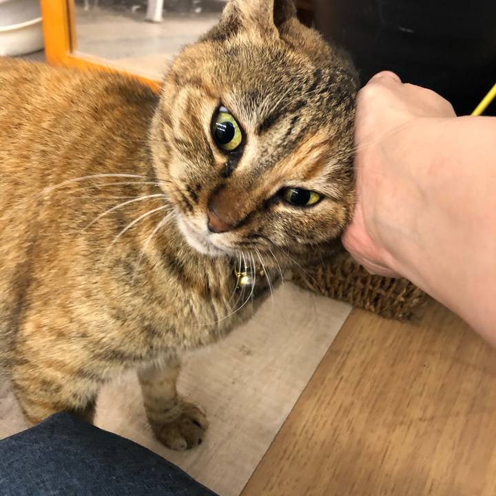 1a92c3f7 bad2 4249 84d0 b7f3b39f0dd1 1616304524944