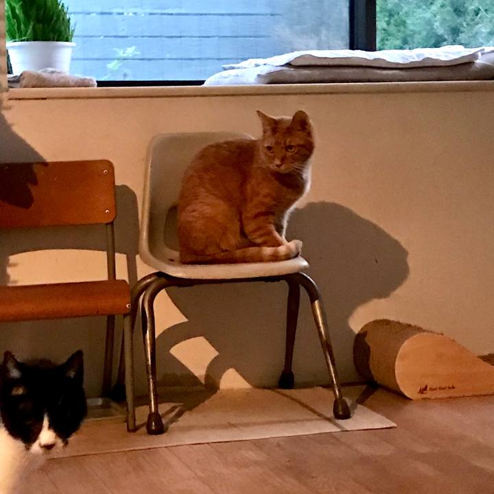 1a92c9f1 33d5 48ca bde9 47b23ce6647d 1555592695721