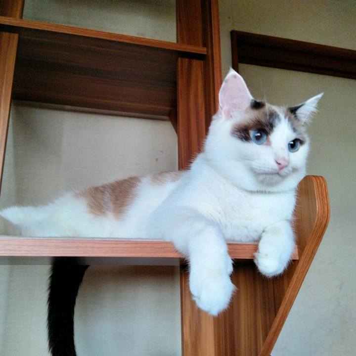 1a92d43e ade1 4162 9a93 1cb4706e1576 1660605425516