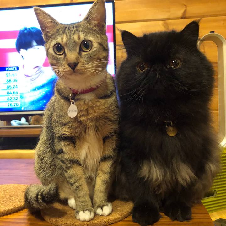 1a92d47f 1b49 4d84 8fdf 1a783d689edd 1581077545448