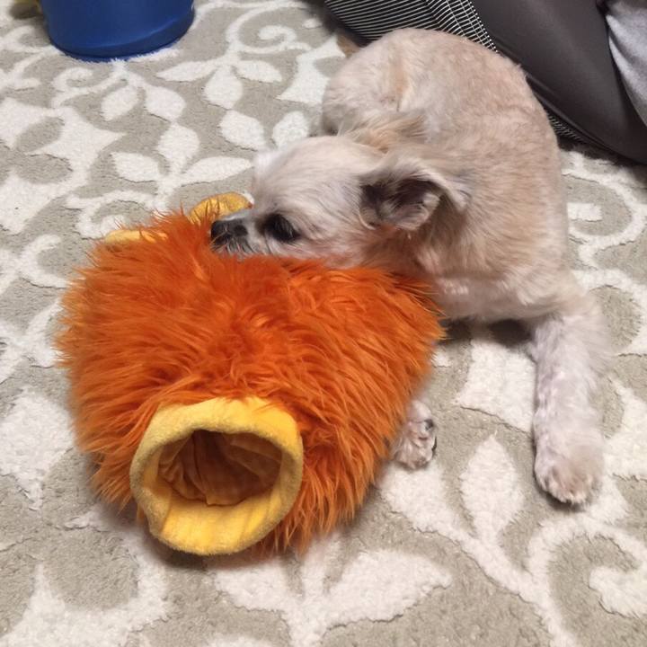 1a930a5f 4524 4ae2 9b4e 15a4a78300f2 1546860361874