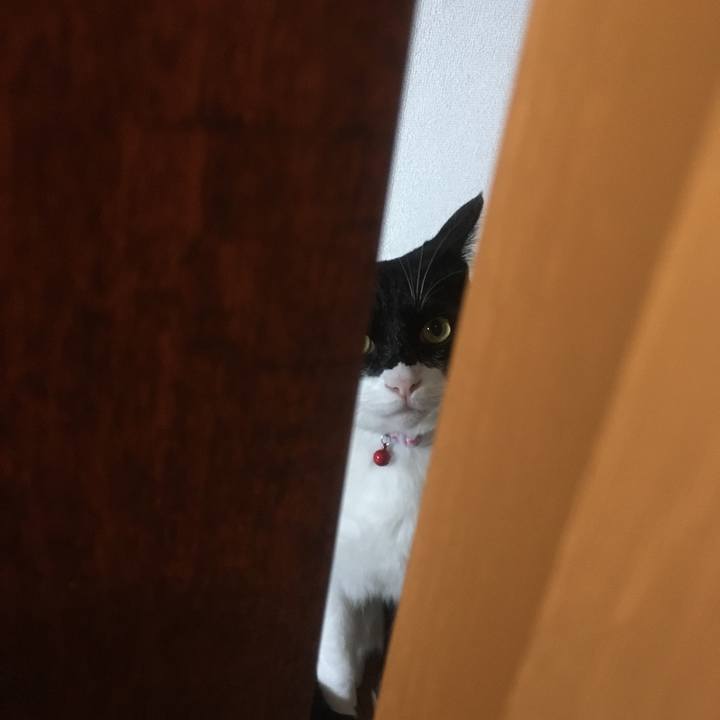 1a933719 50ff 4df4 b667 11ebe109135a 1576985281524