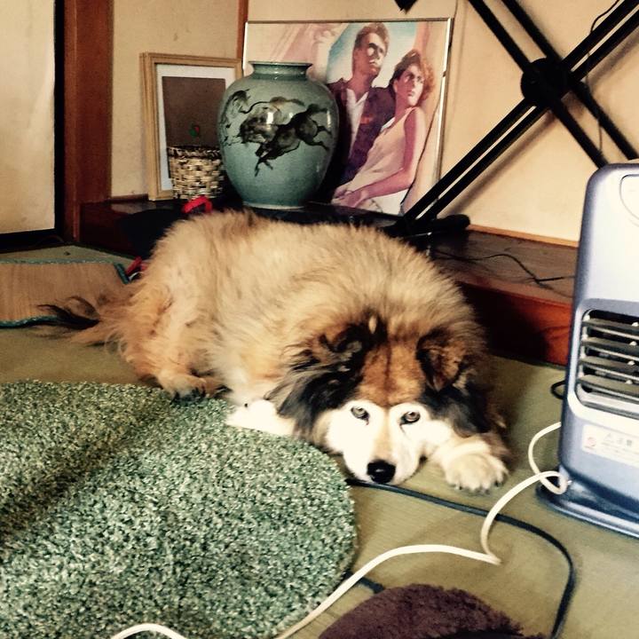 1a9360b7 456a 47b7 8319 9a6b966574d8 1555658860776