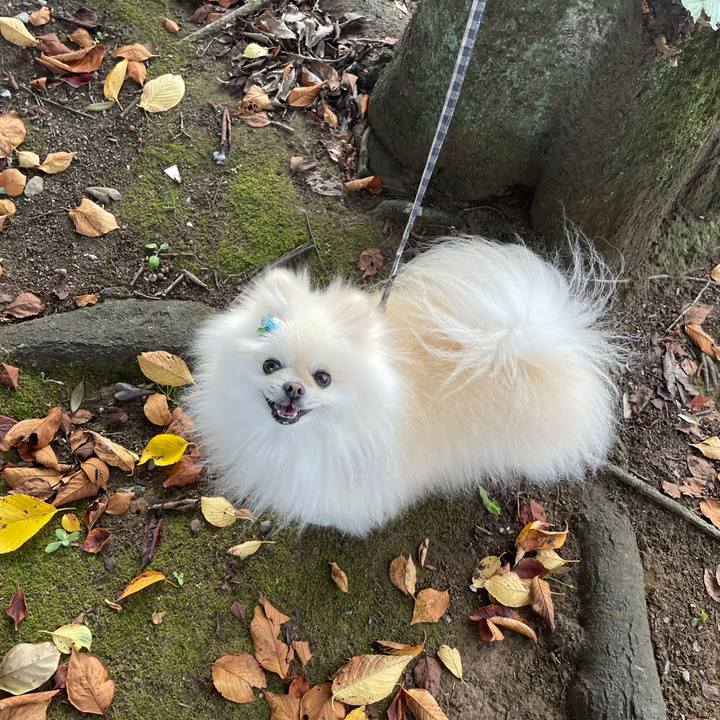 1a936e53 fa8a 456d 87c7 d1af0e6d5b81 1632550463854