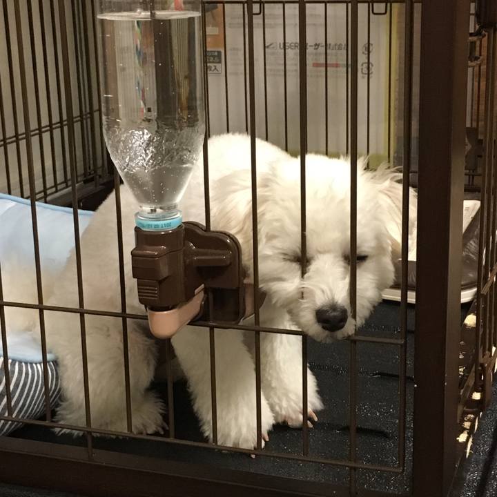 1a936fb2 281c 4d19 a6e1 ada76f0338a2 1529232149844