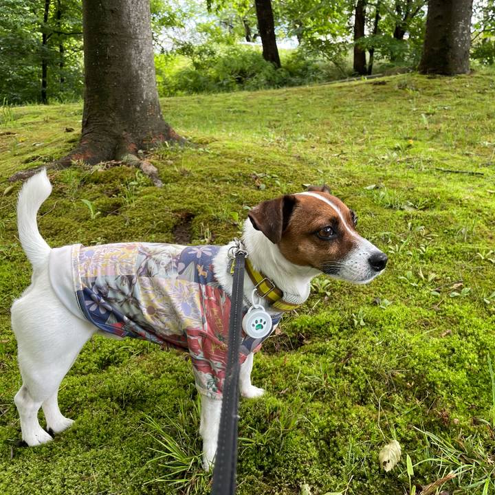 1a938462 f964 4d3a 974a d29b48053096 1653621848923