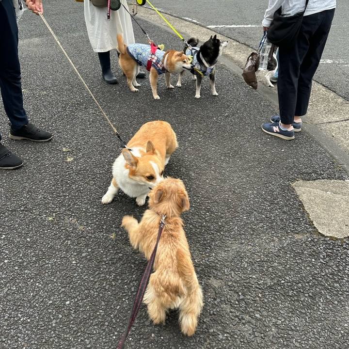 1a9385f9 0c9d 4b3f aedf c28dc3523277 1720774685093