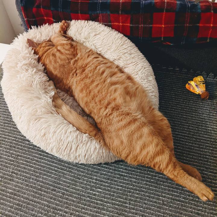 1a93b5f0 dd16 42b1 8aa4 9f37e9b9c631 1627128825275