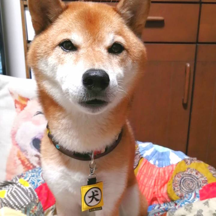 1a940b64 0122 49f1 bfdb ac8f3b50ab6c 1664624121330