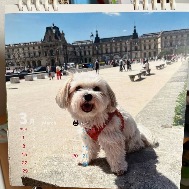 1a94116c cf2e 445d 998e a835bcdeb6c6 1773356810062