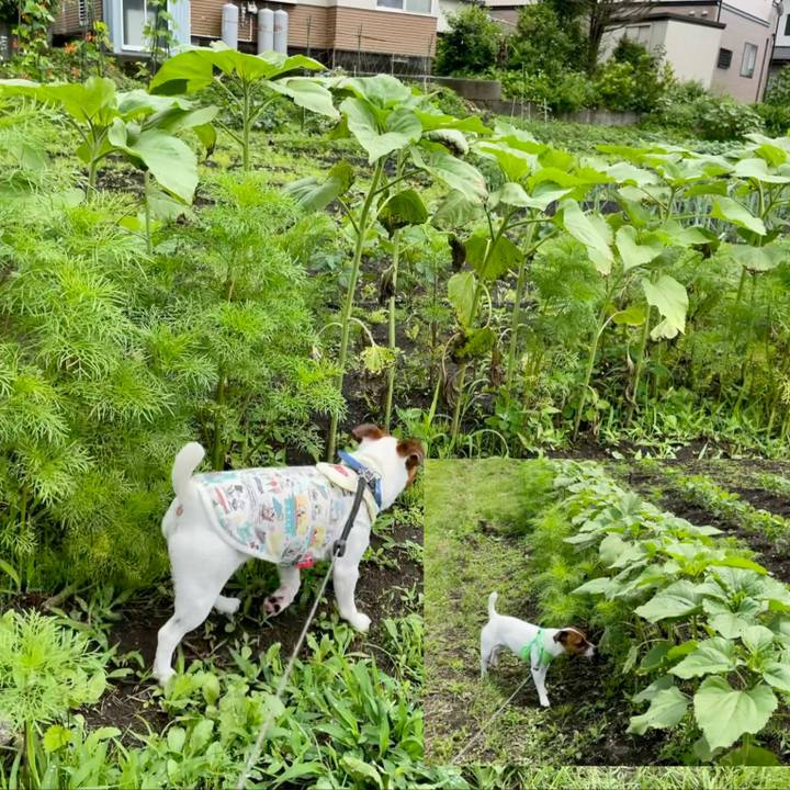 1a9493ae b42f 494c aee0 022f2811625c 1625463449297