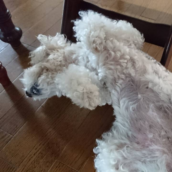 1a94cb41 a07a 407d 9478 a78823120540 1562463015925