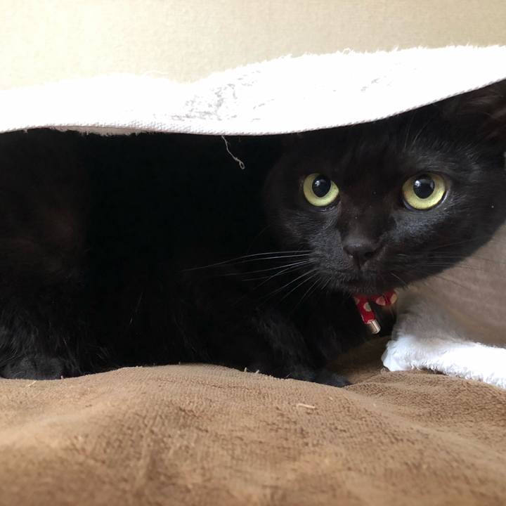 1a94dda7 aec9 407b 8c17 721e998526d7 1618619361575