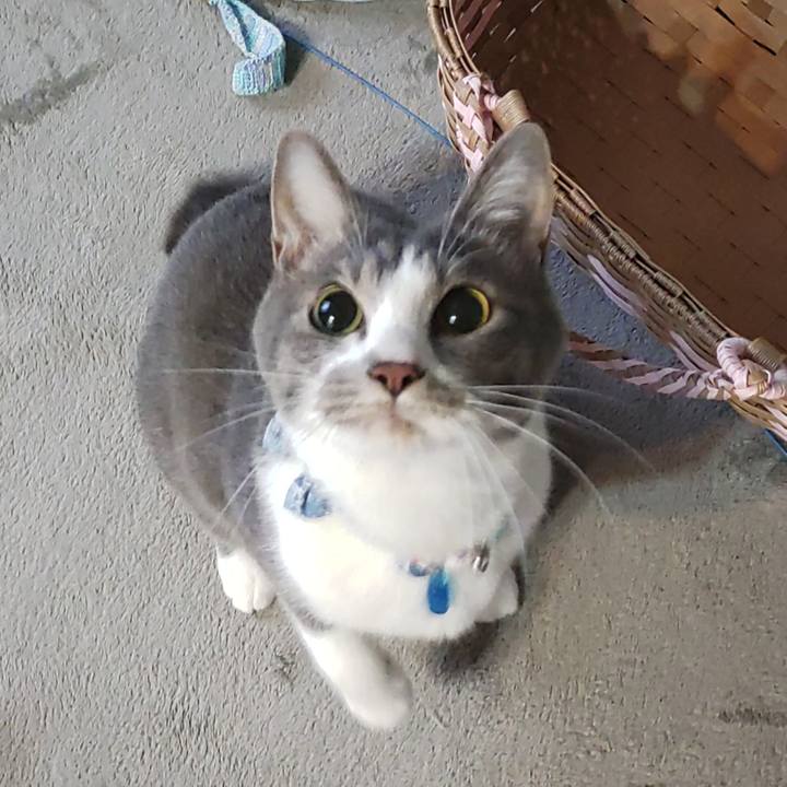 1a952aaf 04fd 4f4a af7f b69478c4895f 1666133882813