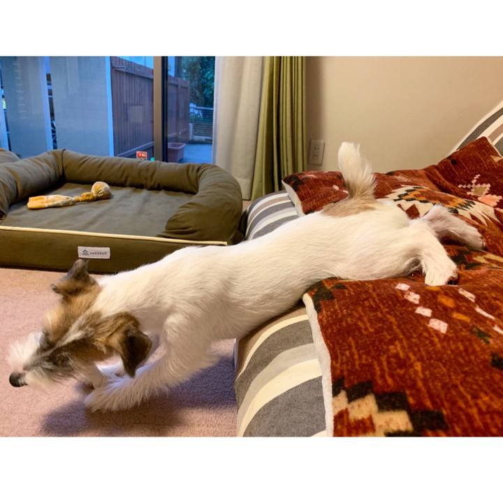 1a9536a4 ce2a 456e 8918 fa63dbc5b5cb 1571739114031