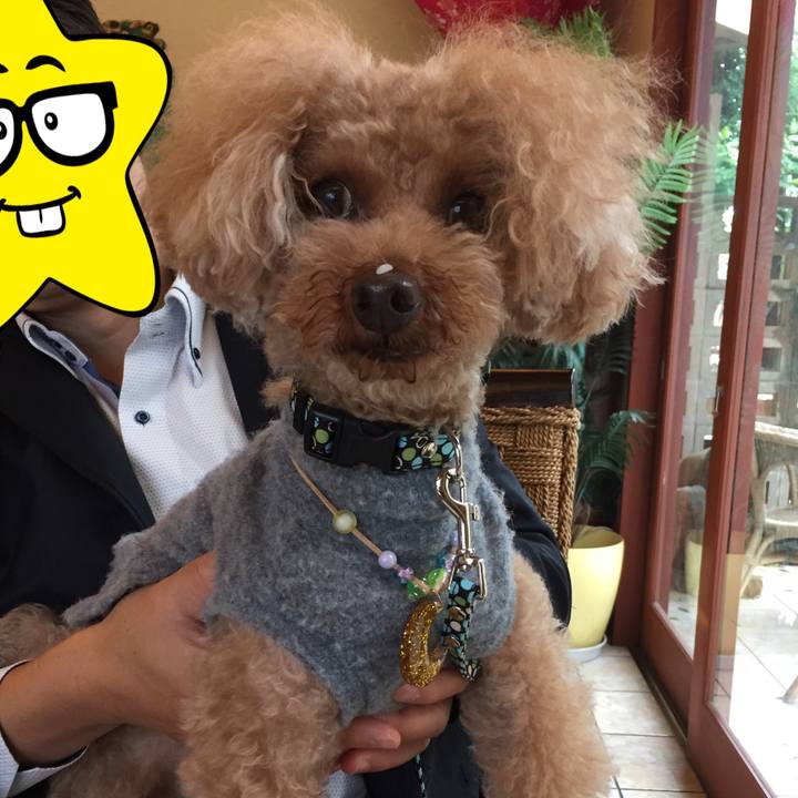 1a9538a7 5a6f 4b86 841e 32df5a13e607 1508061223277