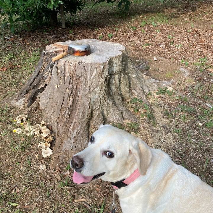 1a9567ac e6bc 4f81 93c0 ea2ef79db0a9 1751708983542