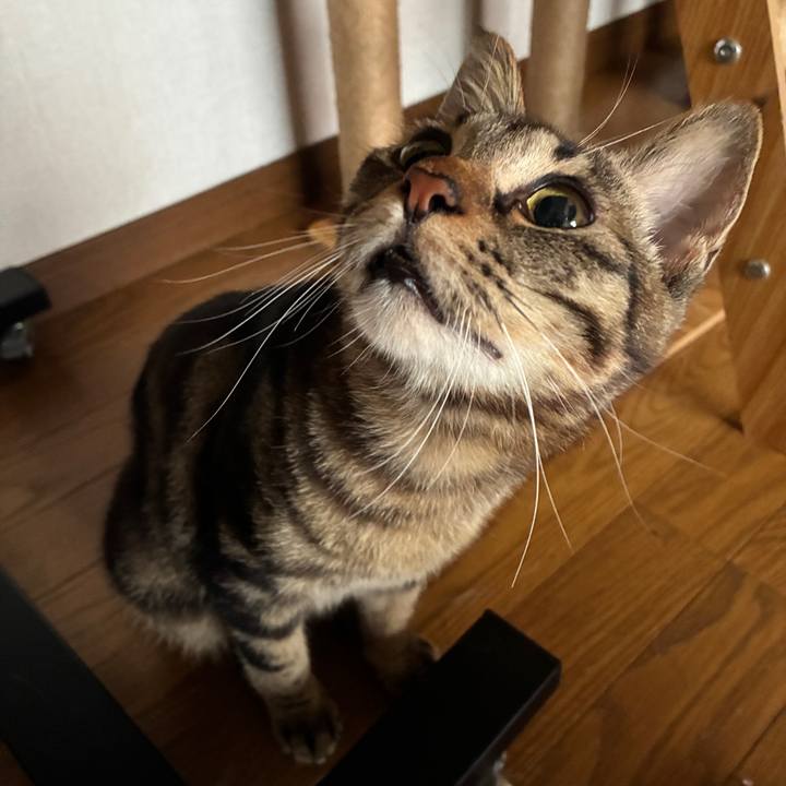 1a956de0 ecaf 4aeb 9791 5a8d8b0ea873 1754127328664